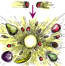 botsing aardbeien