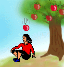 appel valt op hoofd