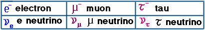 6 leptonen