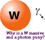 W en gamma