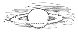 Saturnus