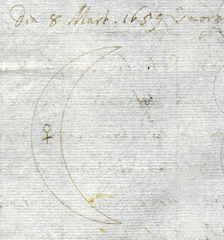 Venus 's morgens