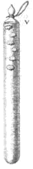 flesthermometer