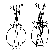 2 ogen