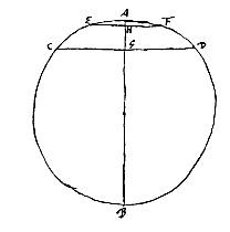 cirkelsegmenten