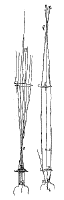 telescoop, stralengang