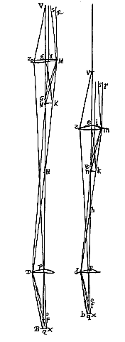 2 microscopen