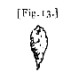 fig. 13