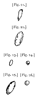 fig. 21-26