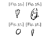 fig. 35-38