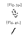 fig. 39, 40