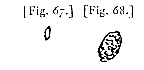 fig. 67, 68