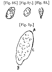 fig. 86-89