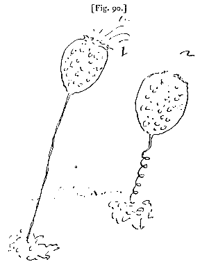 fig. 90
