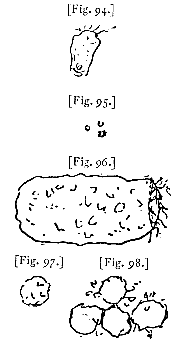 fig. 94-98