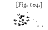 fig. 104