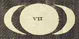 VII