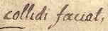 handschrift, 91v