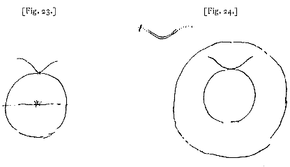 fig. 23 en 24