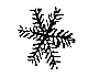 sneeuwkristal