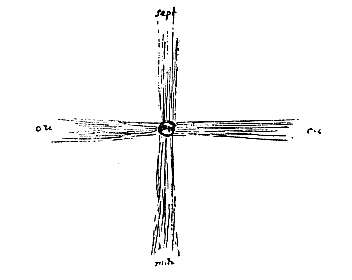 croix