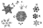 sneeuwkristallen volgens Bartholin
