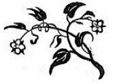 bloemetje