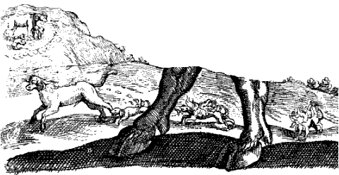detail