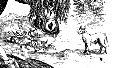 detail