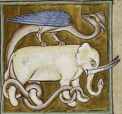 draak op olifant