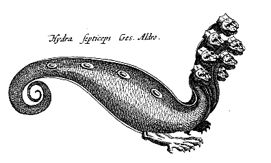 Jonston, hydra