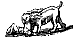 Jonston, detail