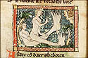 breedvoet