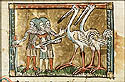 Pygmee&euml;n en kraanvogels