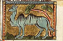 dromadaris