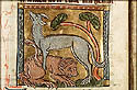 canis en lione