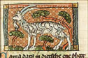 capra