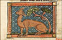 chimera