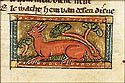 cyrogrillus