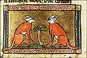 crisetus