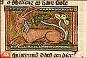 equicervus
