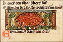 erinacius