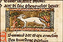 erminius