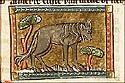 hyena