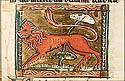 leopardus