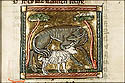 lupus