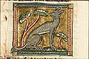 linciscus