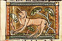 mamonetus