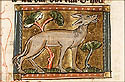 onager