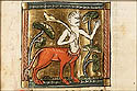 onocentaurus